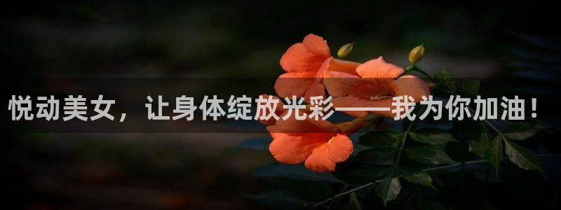 意昂2招商